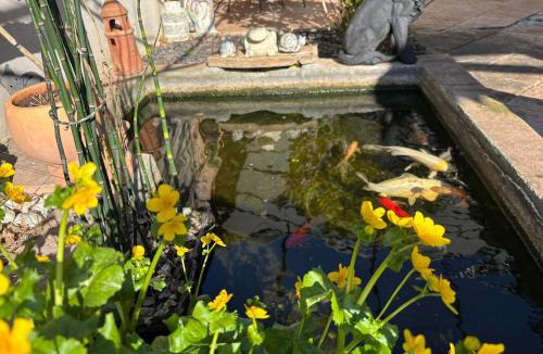 Saint-Alban-Leysse Bed & Breakfast | Chez Cath