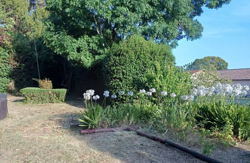 Blaye House | Clos Peyredoulle: 4-star hotel with a pool, billiards, and grounds
