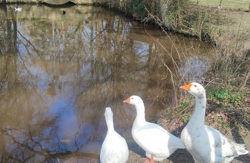 Bazouges-sur-le-Loir House | Domaine de Caillebert : Longère classée 3* 9p au calme proche zoo la flèche