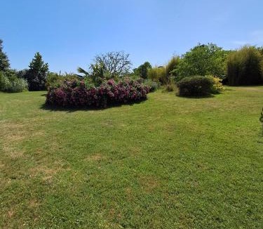 Saint Germain du Seudre Bed & Breakfast | Domaine des Anges
