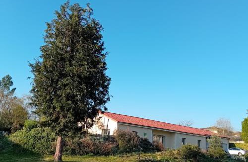 Baignes-Sainte-Radegonde Apartment | domaine de marodi jasmin
