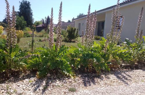 Baignes-Sainte-Radegonde Apartment | domaine de marodi jasmin