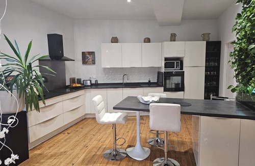 Salies-de-Bearn Apartment | Exceptional duplex 200 m² -heart of town