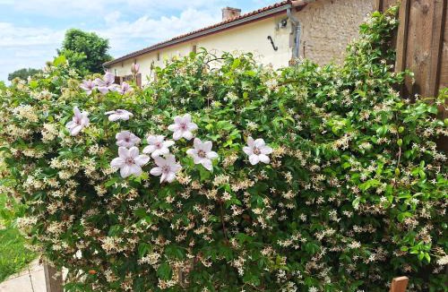 Agudelle House | Gîte Cosy Grand confort dans un écrin de verdure