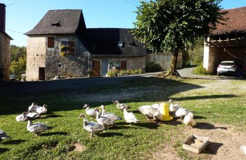Turenne Apartment | Gîte de France A l'orée des bois 3 épis - Gîte de France 6 personnes MAE-9334