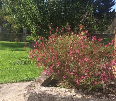 Allas-Bocage House | Gîte Rouge Calme et Nature