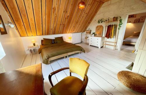 Candes-Saint-Martin House | Gîte XIXè de charme à Candes-St-Martin avec jardin clos - FR-1-381-612