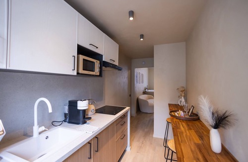 Downtown Angers Apartment | Harmony Room - Romantic Suite with Jacuzzi