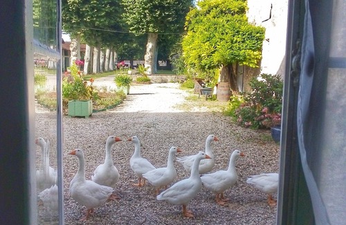 Preignac Apartment | Holiday with castle feeling