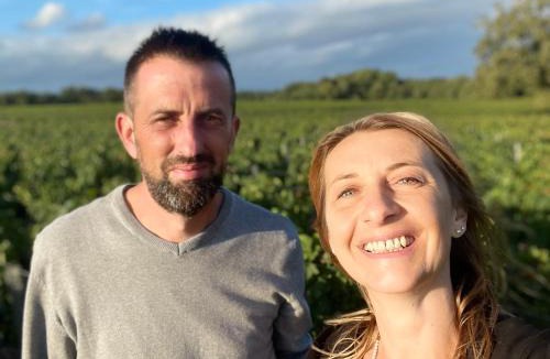 Soussans Bed & Breakfast | L'Amphore du clos de Bigos