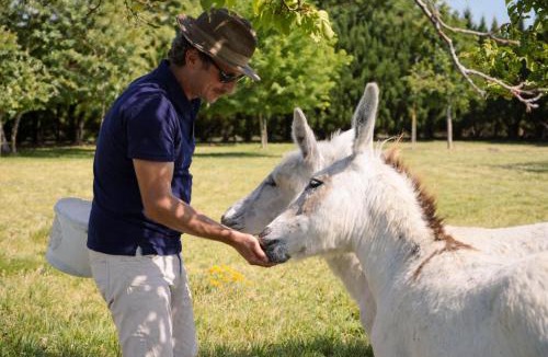 Saint-Christoly-Medoc Bed & Breakfast | La tour Blanche
