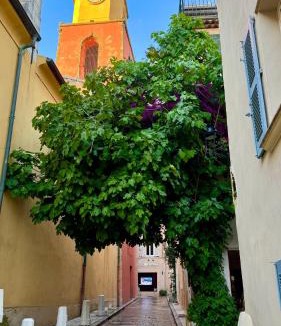 Old Town Apartment | Le Figuier du Clocher - Cœur du vieux village