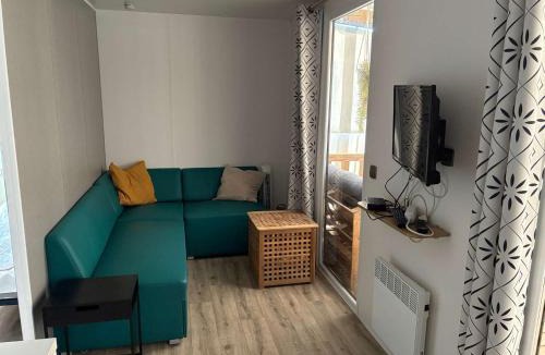 Saint-Hilaire-de-Riez Villa | Le parc des roselieres 61 Saint Hilaire de Riez