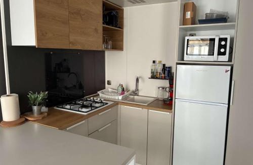 Saint-Hilaire-de-Riez Villa | Le parc des roselieres 61 Saint Hilaire de Riez