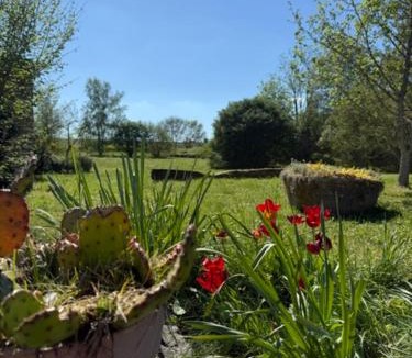Germignac Bed & Breakfast | Les bon bois