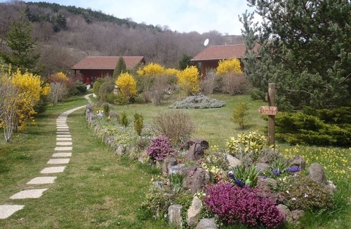 Saint-Floret Ski Chalet | Les chalets de La vigne grande, LE CHAMAROUX Quiet in a green setting