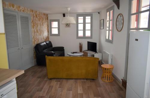 Salies-de-Bearn Apartment | Les dames de Salies