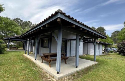 Brocas House | Les droséras