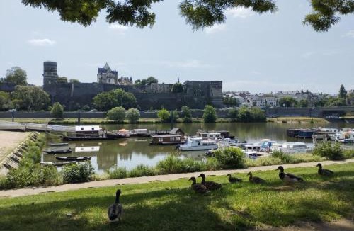 Downtown Angers Boat Rental | Les Toues Angevines