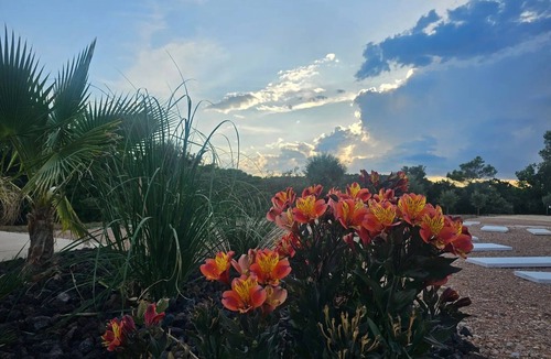 Besse-sur-Issole Bed & Breakfast | Lotus Bay Guest Room with Shared Pool, Wi-Fi, and Air Conditioning
