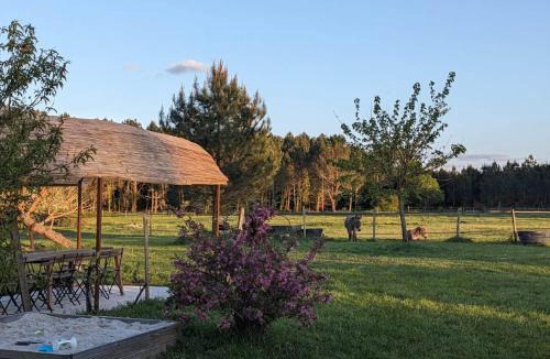 Gaillan-en-Medoc House | Lucatum – Domaine d'exception avec piscine
