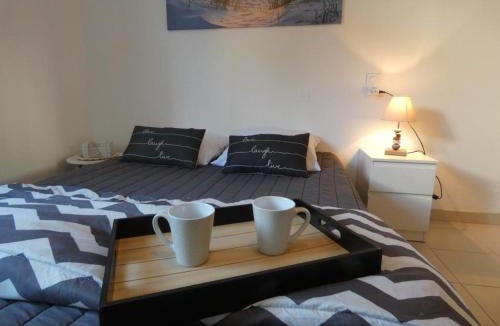 Fromentine House | Maison de vacances à Fromentine - 35m², Animaux admis, 4 personnes - FR-1-540-309