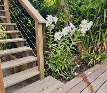 La Celle-sous-Gouzon Bed & Breakfast | Maison et jardin