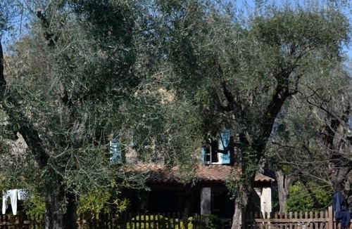 Le Plan-de-Grasse Villa | Mas of Caladou-Villa ANTALYA