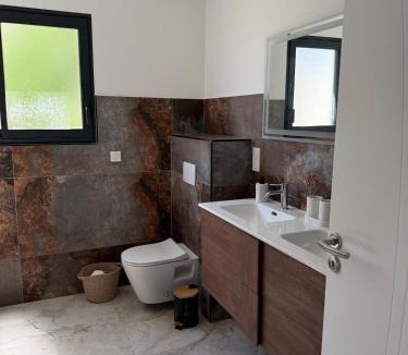 Saint-Laurent-des-Vignes Villa | Modern villa with private pool in Bergerac