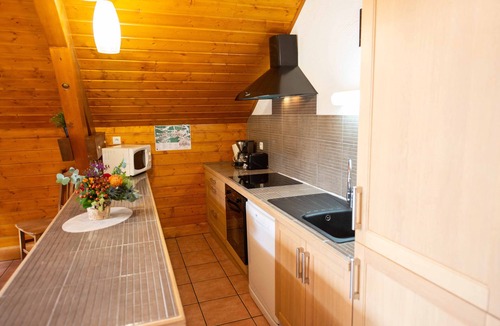 Oz-en-Oisans House | Oz/Alpe d'Huez 110m slopes, up to 21 people, Hammam, en-suite bedrooms
