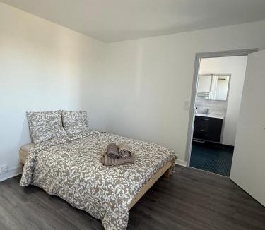 Vierzon Apartment | Pépite Centrale 3 Chambres 2 salles de bain Clim