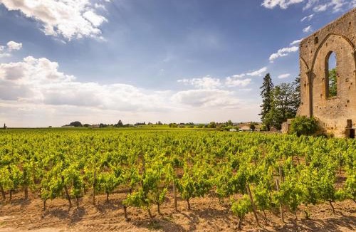 Saint-Denis-de-Pile Apartment | Petite maison au coeur des vignes et des chevaux