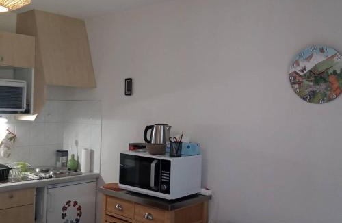 Le Biot Apartment | Studio lumineux avec balcon, vue montagne, 25m² - FR-1-573-147