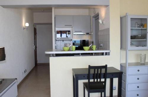 Villeneuve Loubet Beach Apartment | Studio rénové en bord de mer à Villeneuve-Loubet - FR-1-252A-4
