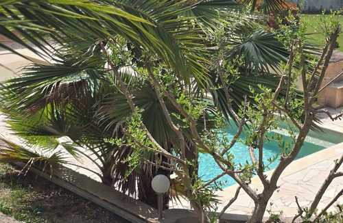 Le Plan-de-Grasse Villa | SUPERB VILLA IN QUIET NEW AIR-CONDITIONED PRIVATE TERRACE SWIMMING POOL POOL HOUSE