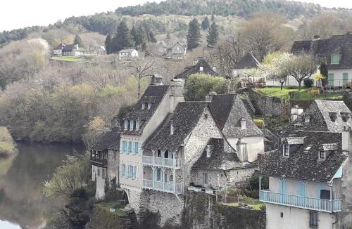 Argentat Apartment | Superbe duplex les belles Rives Argentat bords Dordogne avec wifi