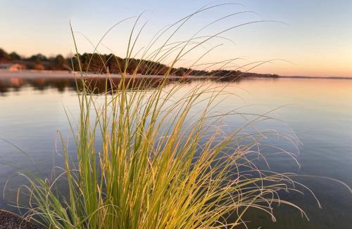Hourtin Villa | Villa au calme entre lac et océan avec piscine privée et spa à Hourtin
