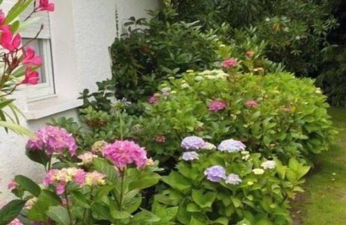 Andernos-les-Bains Villa | Villa des Doudoux