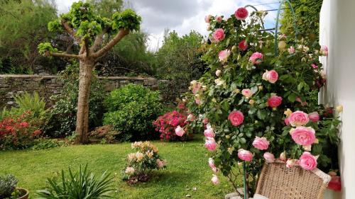 Anglet Apartment | Villa Pare Gabea - 1 ou 2 chambres, jardin privatif 600m2 - Anglet