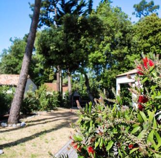 Bretignolles-sur-Mer Villa | Villa Pinède 800m from Beach Private Jacuzzi Pine Forest Sleeps 8