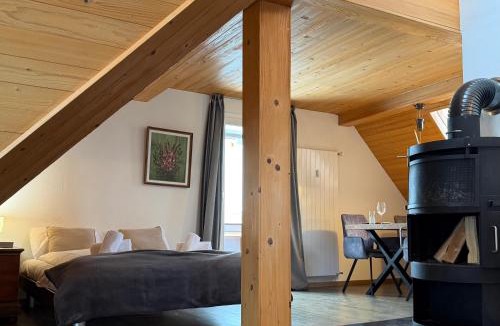 Kandersteg Apartment | Waterfall View