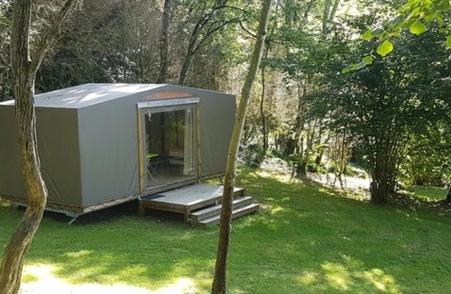 Louvie Juzon Other | ZEcamping 3 chiens acceptés hammam piscine chauffée