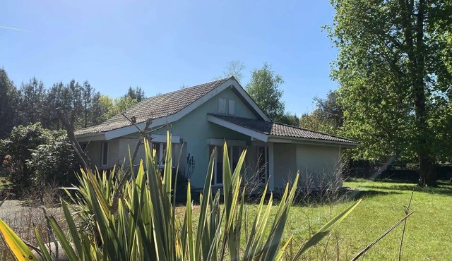 221- Charming Hourtin-style house with breathtaking views of the forest, sleeping 6 to 7 people