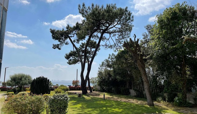 3-Bedroom Sea View Apartment, 1st Floor - Saint-Georges-de-Didonne