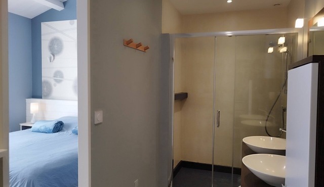4* villa with indoor swimming spa, billiards