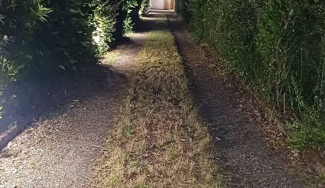 An enchanting haven of calm