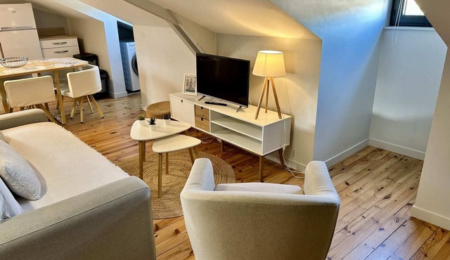 Apartment 6 people air-conditioned family type 2 bedrooms + sofa bed Puy de Dôme 301