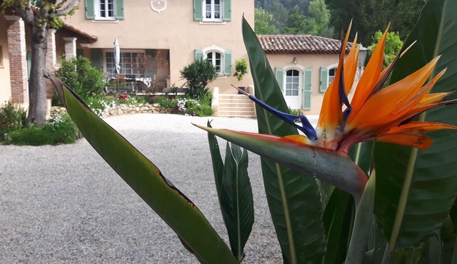 Bastide du Maoupas "Les Lavandes
