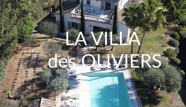 Beautiful Provencal Villa with pool, walking distance to Valbonne