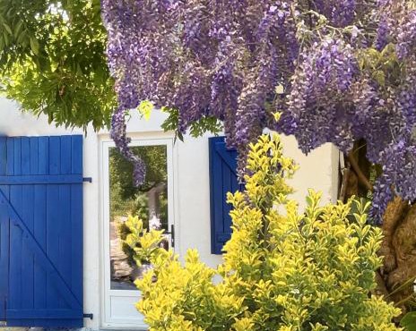 C'est une maison bleue adossée à la forêt - longue durée possible